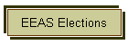 EEAS Elections